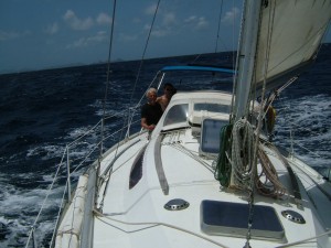 DSCF6644