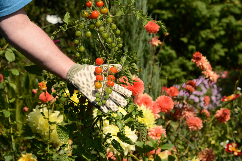 Garten 119